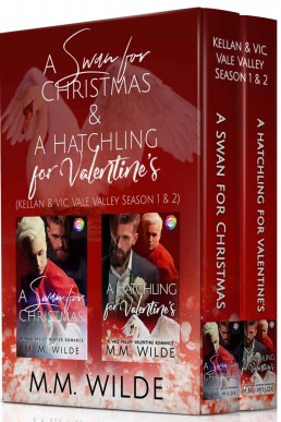 Swan & Hatchling, A Vale Valley Holiday Mpreg Romance