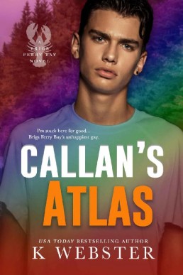 Callan's Atlas (Brigs Ferry Bay 3)