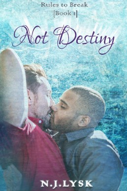 Not Destiny (Rules to Break Book 1) (498)