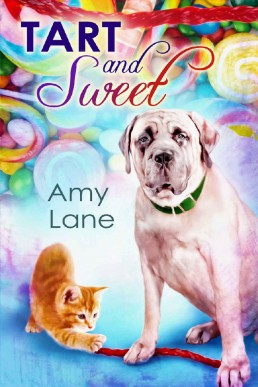 Tart and Sweet (Candy Man Book 4) (1114)