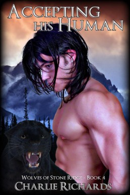 Accepting His Human (Wolves of Stone Ridge 4)