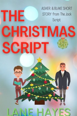 The Christmas Script (The Script Club #3.5) (905)