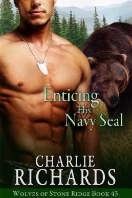 Enticing his Navy Seal (Wolves of Stone Ridge 43)