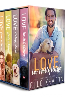 Love in Hollyridge (Home in Hollyridge 1-4)