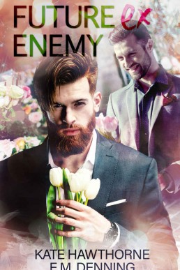 Future Ex Enemy (Mallory Vineyard #3)