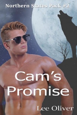 Cam's Promise (179)