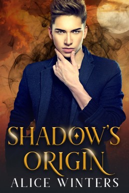 Shadow’s Origin (Demon Magic 0.5)