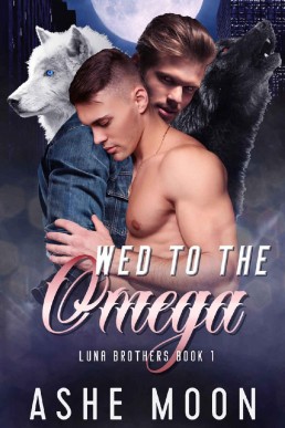 Wed to the Omega  (Luna Brothers Book 1)