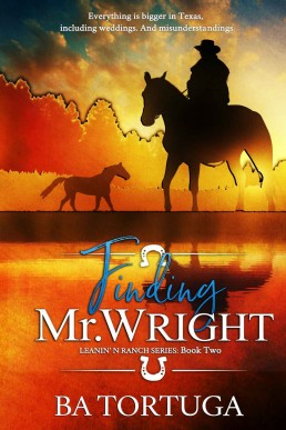 Finding Mr. Wright (Leanin' N Book (644)