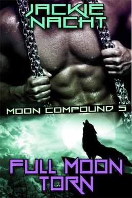 Full Moon Torn (2074)