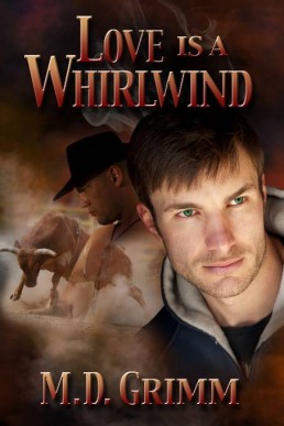 Love is a Whirlwind (The Shifter Chronicles 2)