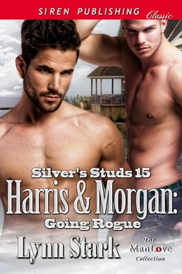 Harris & Morgan_ Going Rogue (186)