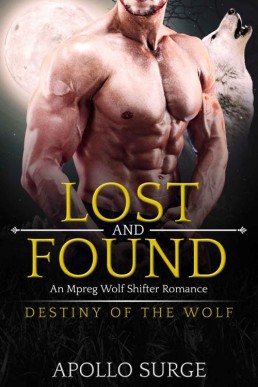 Lost and Found_ M_M Wolf Shifter Pa (2266)