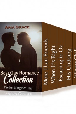 Best Gay Romance Collection (2303)