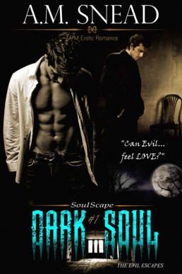 Dark Soul (Soulscape #1) (1744)