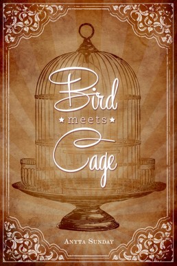 Bird Meets Cage (2223)