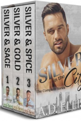 Silver in the City: A 3-Book Box Set