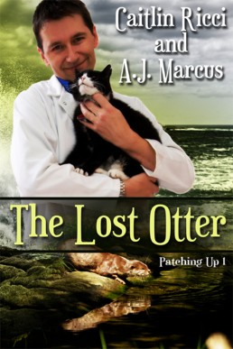 The Lost Otter (Patching Up 1) (946)