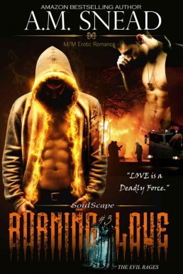 Burning Love (Soulscape #3) (1742)