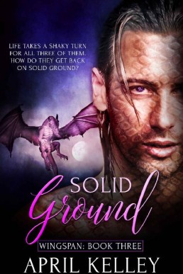 Solid Ground (Wingspan Book 3) (1093)