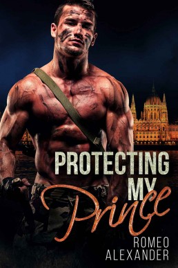 Protecting My Prince (10275)