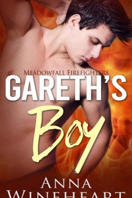 Gareth's Boy (Meadowfall Firefighters 2) (3562)