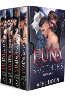 The Luna Brothers Series Bundle