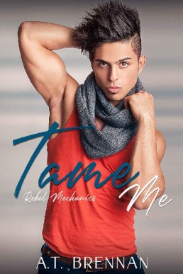 Tame Me (Rebel Mechanics Book 2) (1323)