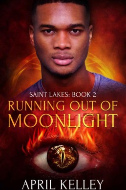 Running Out of Moonlight (Saint Lakes 2)