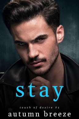 Stay (Touch of Desire Book 1) (4257)