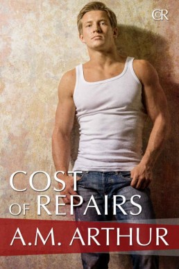 Cost of Repairs_ Cost of Repairs #1 (3778)