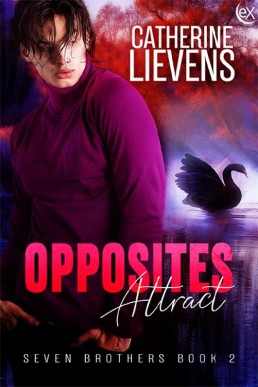 Opposites Attract (Seven Brothers #2)