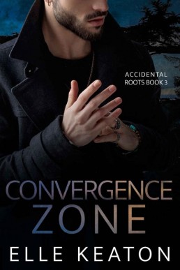 Convergence Zone (Accidental Roots 3)