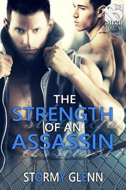 Strength of an Assassin [Assassins Inc. 3]