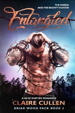 Entangled: The Omega and the Bounty Hunter (Briar Wood Pack 1)