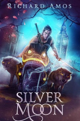 Silver Moon (Four Moons Book 4) (11602)