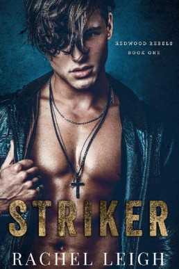 Striker_ A Dark Bully Romance (Red (11585)