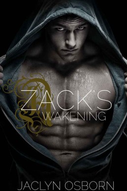 Zack's Awakening (6326)