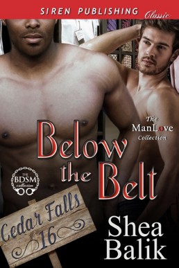 Below the Belt (Cedar Falls 16)