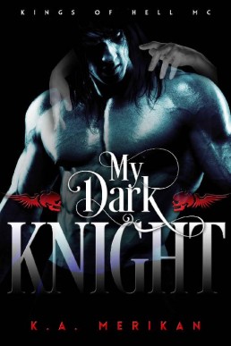 My Dark Knight (gay biker romance) (5816)