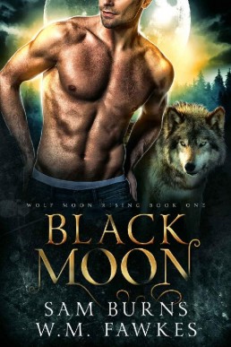 Black Moon (Wolf Moon Rising Book 1)