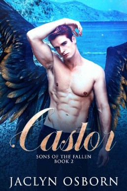 Castor (Sons of the Fallen Book 2) (9510)