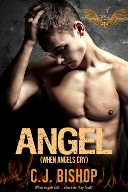 Angel 1: When Angels Cry (Phoenix Club #7) (891)