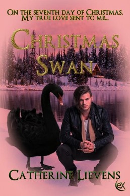 Christmas Swan (Seven Brothers #1)