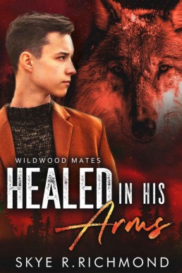 Healed In His Arms (Wildwood Mates (12905)