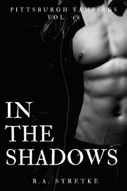 In the Shadows (Pittsburgh Vampires 16)