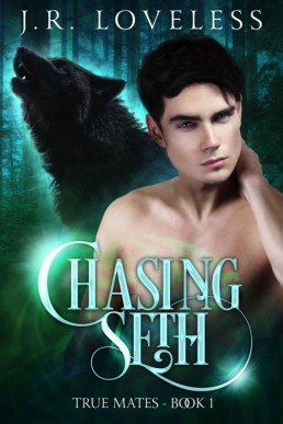 Chasing Seth (True Mates 1, 2nd Ed. 2020)