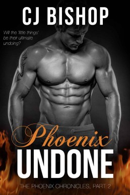 Phoenix Undone (Phoenix Chronicles #2) (911)