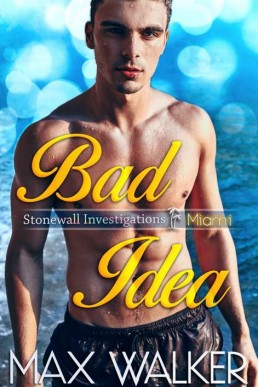 Bad Idea (Stonewall Investigations (13448)