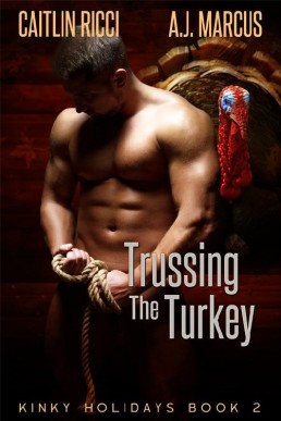 Trussing the Turkey (Kinky Holidays 2)